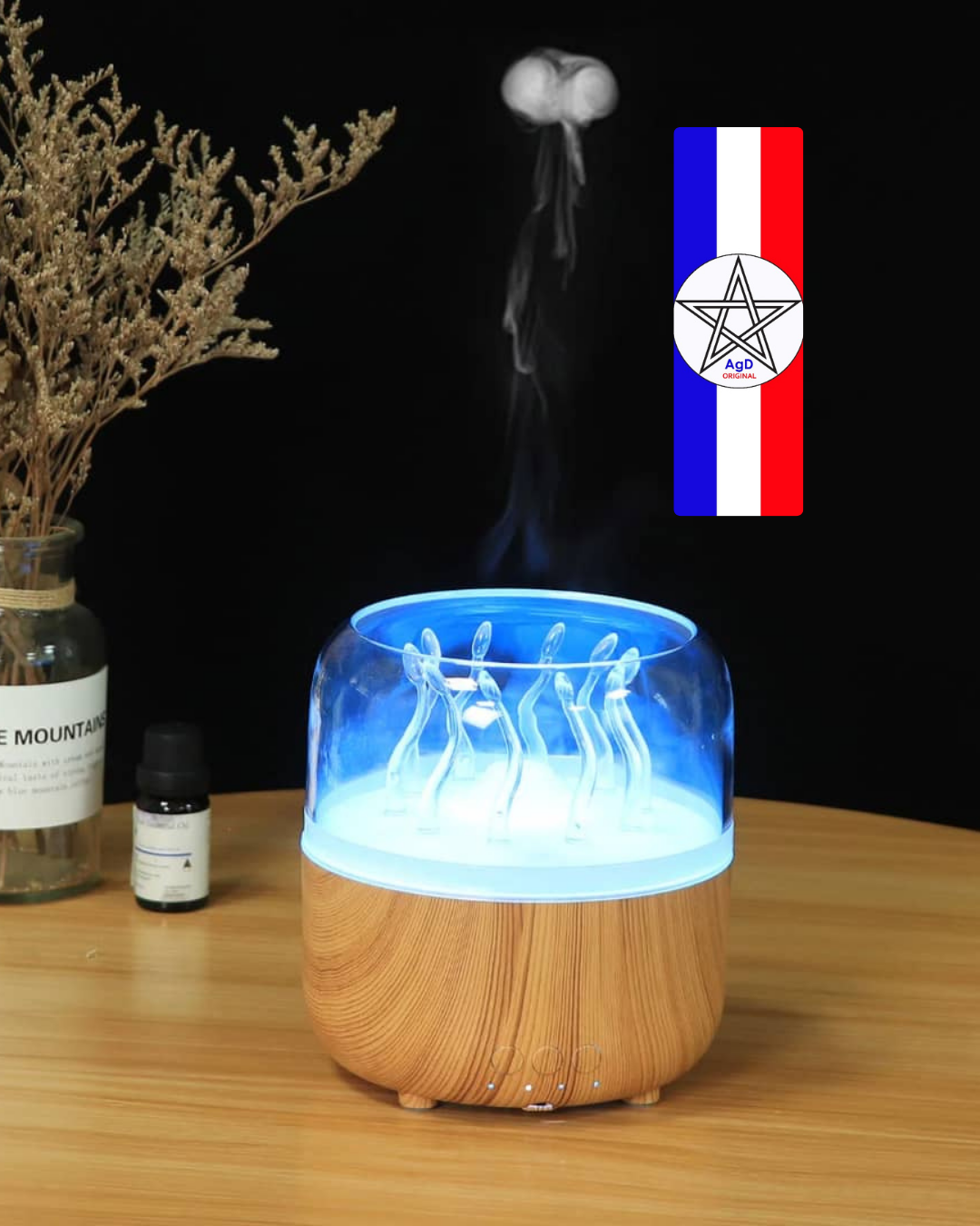 Diffuseur D'arômes et Humidificateur D'air Y XUAN "Deep sea elf"