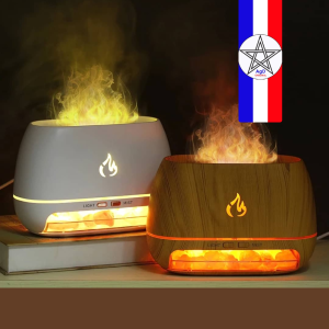  Diffuseur d'Arômes Holdmay KP-6068